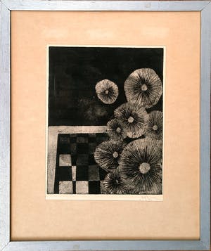 Jan Bernard Meinen - Zwevende Zaadbollen ETS ingelijst - 21976 kopen? Bied vanaf 35!