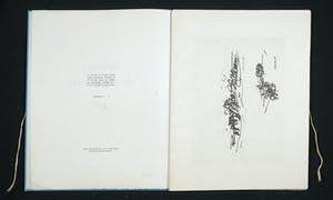 Corneille - Zeer bijzondere portefeuille met 16 clichés op Japans papier, Images de New York kopen? Bied vanaf 1!