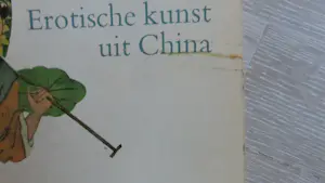 Diverse kunstenaars - Verzameling Erotische kunst kopen? Bied vanaf 75!