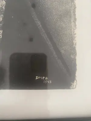 Dries van den Broeck - Onbekend kopen? Bied vanaf 50!