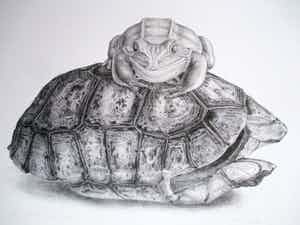 Armando Cairo - Litho "Schild met pad" kleine oplage verkocht voor € 35!