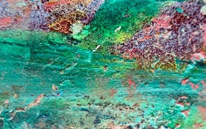 Joris Collier - Green river / Wild Countryside - Set van 2 tweeluiken kopen? Bied vanaf 1!