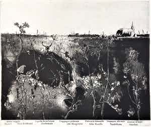 Simon Koene - Landschap met onkruid verkocht voor € 35!