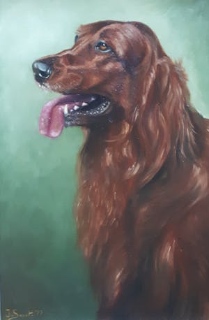 Niet of onleesbaar gesigneerd - Ierse Setter kopen? Bied vanaf 1!