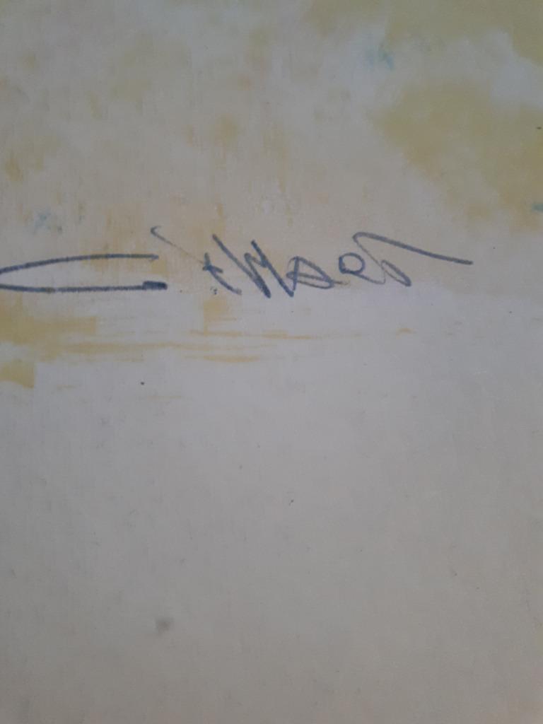 Gerard 't Hart - Shamaan 1 kopen? Bied vanaf 5!