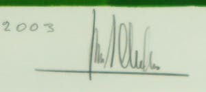 Ton Schulten - Zeefdruk, Voorjaarsgroen 1-Ingelijst kopen? Bied vanaf 200!