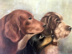 Niet of onleesbaar gesigneerd - Prachtig olieverfschilderij met 3 honden. kopen? Bied vanaf 1!