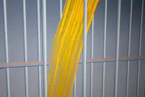 Jeroen Henneman - Uit het leven der dingen: een kanarie - zeefdruk - mooi ingelijst kopen? Bied vanaf 150!