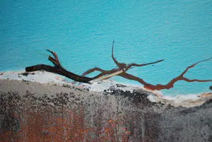 Johan Timmers - gemengde techniek in een fraaie lijst kopen? Bied vanaf 50!