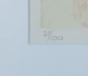 Hans Vanhorck - Zeefdruk . Z.T - Ingelijst kopen? Bied vanaf 50!