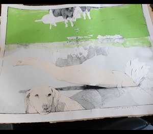 Pat Andrea - zonder titel kopen? Bied vanaf 40!