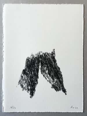 Armando - litho ‘Der Baum’ - 2003 - oplage 30 verkocht voor € 115!