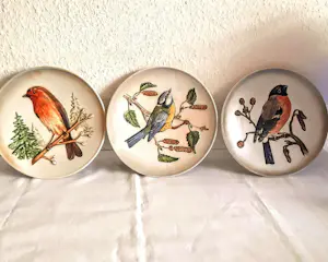 AcheterPorzellanfabrik W. Goebel - Relief Wandteller 5er Set Porzellan "Vögel" aus der Wildlife Serie 70er Jahren? Enchérissez de 48!