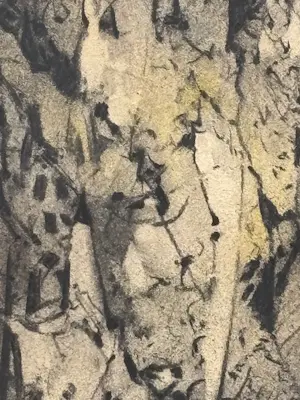 Albert Plasschaert - Opus 3785 kopen? Bied vanaf 20!