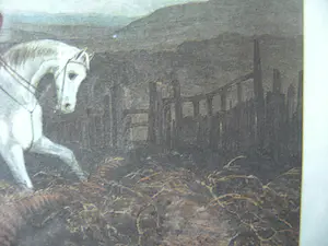 William Joseph Shayer - Shayer's English Fox Hunting. kopen? Bied vanaf 12!