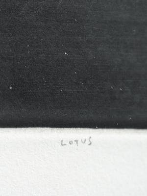 Tomoe Yokoi - Lotus kopen? Bied vanaf 1!