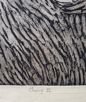 Yoshiko Noma - Champ IV, ets kopen? Bied vanaf 125!