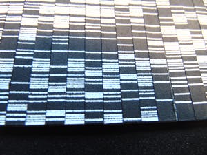 Steven van der Kruit - TV I. kopen? Bied vanaf 75!