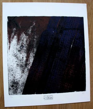 Rudi Spitzers - Zeefdruk: Nachtvlucht kopen? Bied vanaf 25!