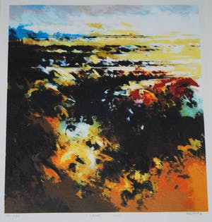 Mattie Schilders - 'Land' - zeefdruk uit 2006 kopen? Bied vanaf 40!