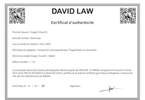 David Law - Crypto Prince VII kopen? Bied vanaf 475!