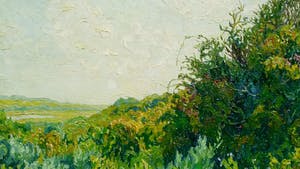 Ad Blok van der Velden - Texel, olieverf op doek (laatste keer, in prijs verlaagd!!!) kopen? Bied vanaf 975!