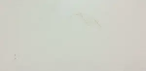 Hannes Postma - Olieverf op board, De vlucht der vogels in het verschiet (Zeer groot) kopen? Bied vanaf 1!