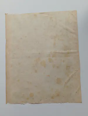 Theo van Hoytema - De Kroniek kopen? Bied vanaf 80!