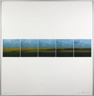 Ger Dekkers - Fotocollage, Field of cole-seed, Flevoland - Ingelijst kopen? Bied vanaf 35!
