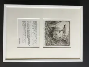 Han van Hagen - “ het varken” kopen? Bied vanaf 10!