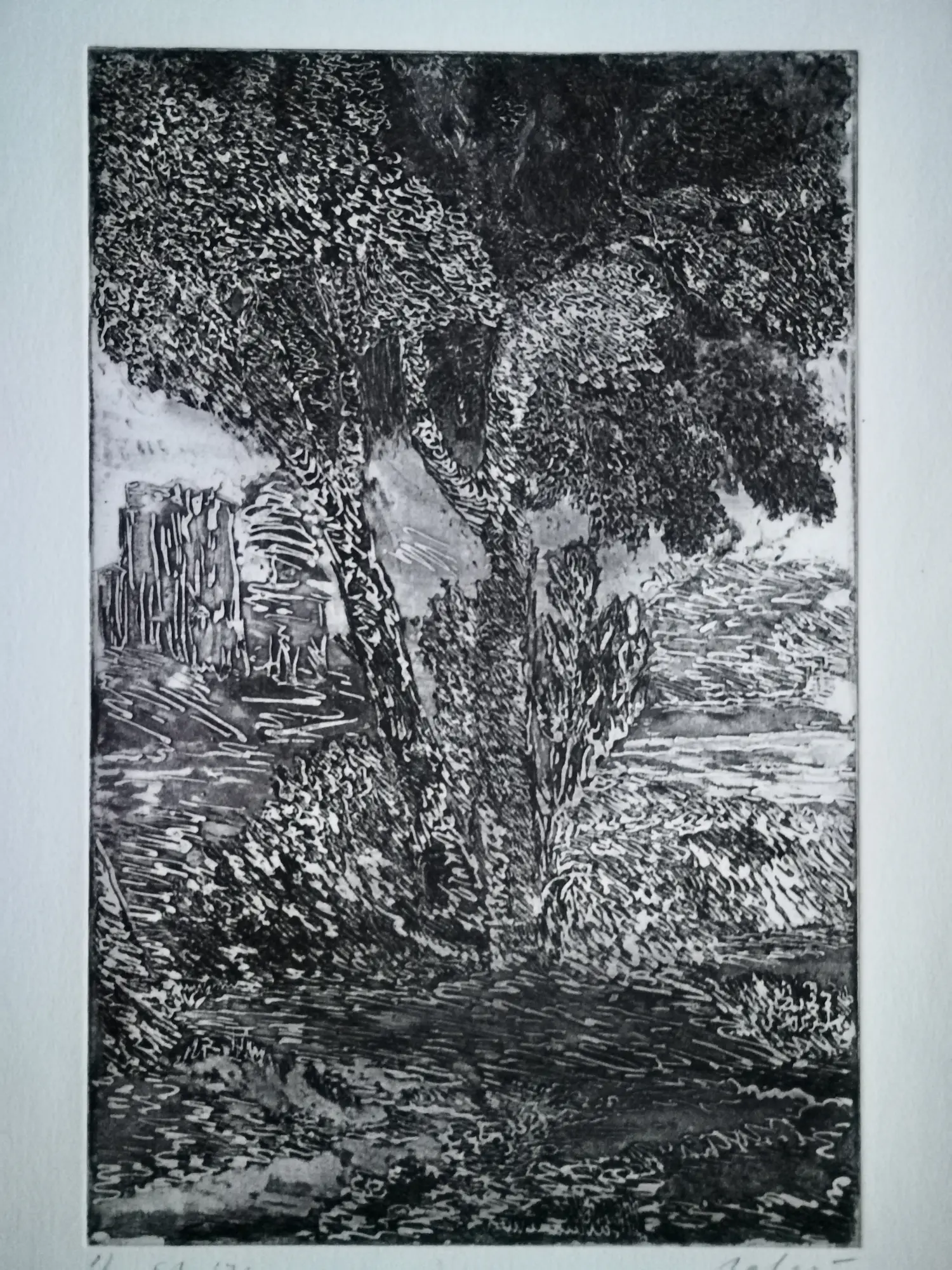 Gerard Bellaart (1946)