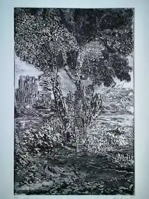 Buy Gerard Bellaart - gesigneerde ets? Bid from 20!
