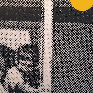 Erwin van Krey - Flagpole kopen? Bied vanaf 150!