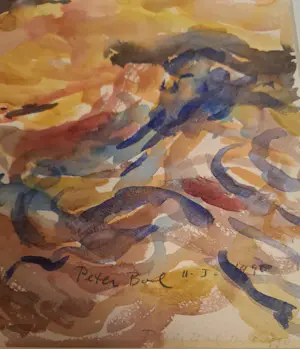 Peter Bol - Waterstroompjes op Hoge Venen. kopen? Bied vanaf 550!