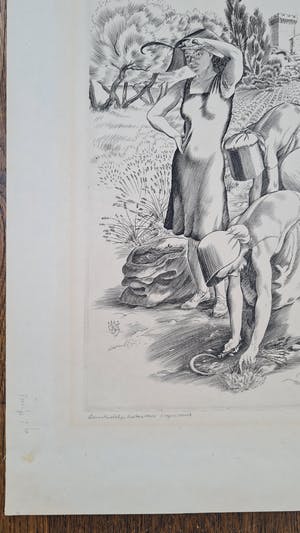 Kuno Brinks - Lavendelpluksters kopen? Bied vanaf 150!