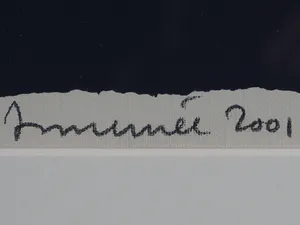 Hans Innemee - Kwaak, kwaak kopen? Bied vanaf 50!