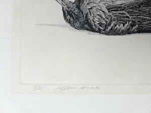 AcheterDick Stolwijk - Dode vogel? Enchérissez de 50!
