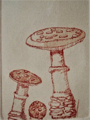 Peter de Leur - Bijzondere 8 delige Droge Naald ets "Dag, Nacht en Paddestoelen" gesigneerd kopen? Bied vanaf 10!