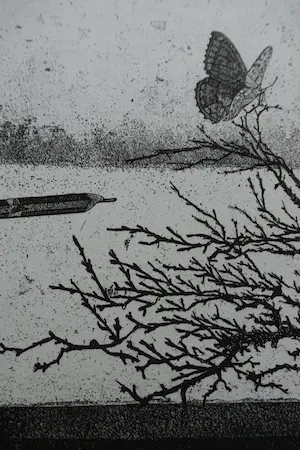 Willem Minderman - ZONDER TITEL kopen? Bied vanaf 60!