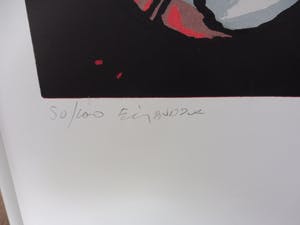 Fon Klement - Fuchsia kopen? Bied vanaf 100!