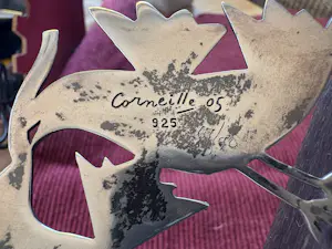 Corneille - Vögel kopen? Bied vanaf 400!