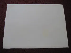 Clara de Jong - Grote impressionistische Gouache op papier "Bietenland" gesigneerd kopen? Bied vanaf 1!