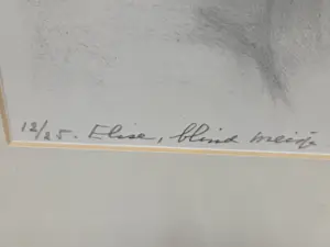 Aart van Dobbenburgh - Elise, blind meisje kopen? Bied vanaf 20!