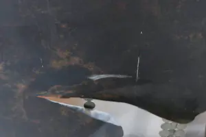 Chris Fokma - Wandobject van koper en metaal (Zeer groot en zwaar!) kopen? Bied vanaf 1!