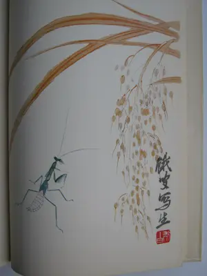 Niet of onleesbaar gesigneerd - Bibliofilie; Chi Pai Shih - Bambuhalm und Pfirsichblute - 1959 kopen? Bied vanaf 1!