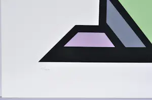 Guy Vandenbranden - Kleurenzeefdruk - Gesigneerd - 80x60 cm - 1/130 kopen? Bied vanaf 250!