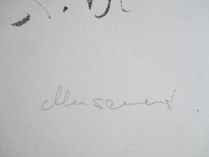 Dirkje Kuik - Litho Ellen Sement kopen? Bied vanaf 40!