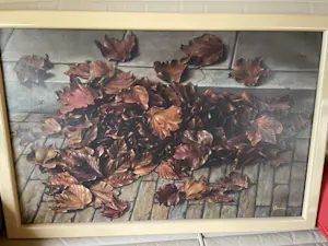 Tonny Timmermans - Herfstbladeren kopen? Bied vanaf 250!