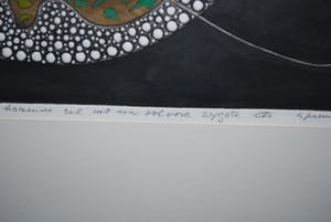 Harry van Kruiningen - epreuve d'artist - ets met reliëf - vrijkomende cel uit een zygote kopen? Bied vanaf 75!