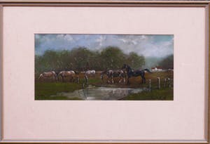 Kees Mol - Paarden in de wei kopen? Bied vanaf 60!